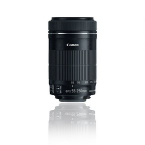 캐논 EF-S 55 - 250 mm F4 - 5.6 IS STM 망원 줌렌즈