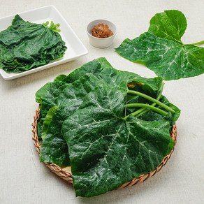 [쑥이네] 부드러운 하우스 어린 호박잎, 1개, 400g