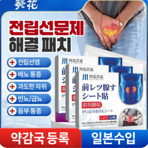 {당일배송 99.99 힐링} 빠르고 효과적인 전립선 패치 치료  빈뇨증  전립선염  방광염  요통  OY031, 1개입, 12개
