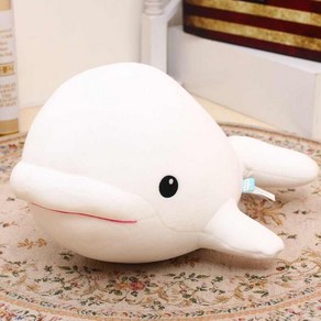 쿠션 65cm 고래 25cm 인형 화이트 돌고래 벨루가 통통한