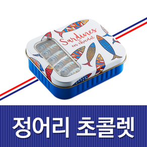 정어리 초콜렛 12사딘 밀크초콜렛, 12개, 10g