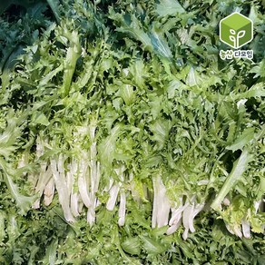 국내산 치커리 2kg, 1개