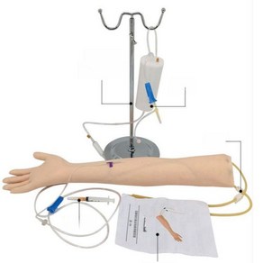 정맥주사모형 간호사 실습 수액 인공피부 마네킹 팔뚝 연습용 키트 채혈, B. 팔 정맥수액(스텐드없음)