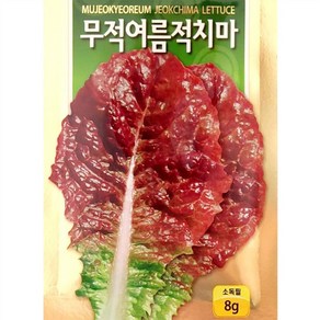 여름 적치마상추 씨앗 (8g), 1개