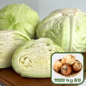 무안 산지직송 깐 양배추 1~3통(3~4kg) 구매시 양파 소 1kg 증정, 2개