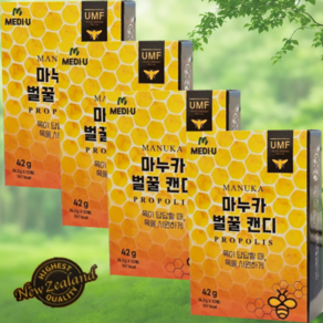 프로폴리스 마누카 벌꿀 캔디 10정입(42g) x 4개, 42g, 5개