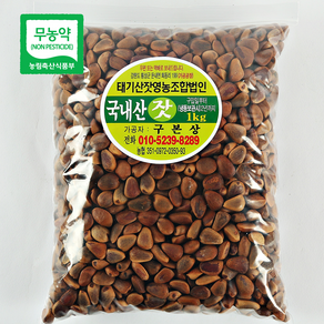 국내산 태기산잣 피잣 1kg [산지직송 견과류]