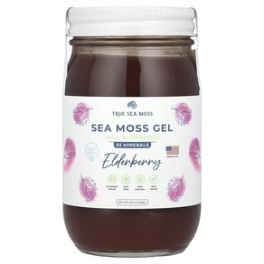 트루 시 모스 씨모스 젤 엘더베리 Tue Sea Moss Sea Moss Gel Eldebey, 1개, 473ml