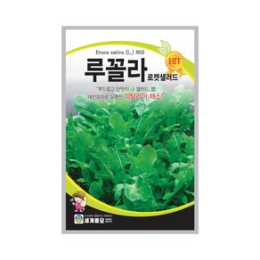 루꼴라로켓샐러드 씨앗 10g 샐러드 쌈 데친요리로 유명한 이탈리아 채소 세계종묘, 1개