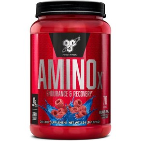 BSN 아미노 X 머슬 리커버리 BCAAs Amino 블루 라즈 베리맛 70회분, Powde, Blue Raz, 70 Sevings (Pack of 1), 1.02kg, 1개