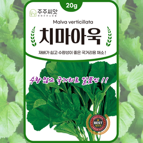 아욱씨앗 20g 치마아욱 종자 씨 채소씨앗, 1개