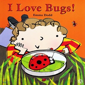 I Love Bugs!, Hachette Childen's Goup