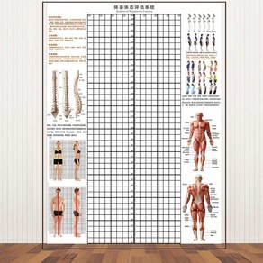 체형 분석표 측정 격자 스크린 분석 롤스크린 분석판, 검정색 왼쪽 눈금 너비 90 높이 200
