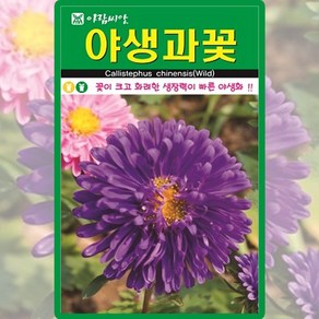 아람종묘 야생과꽃 씨앗 1000립 과꽃씨 야생화 종자, 82. 야생과꽃 1000립, 1개