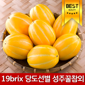 [2차앵콜오픈] 19bix당도보장 달콤아삭 성주 참외, 1개, 2kg 로얄가정용(5-7과내외)