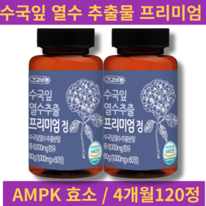 건강바름 수국잎 열수추출 프리미엄 정 1000mg x 60정 * 2개 = 120정