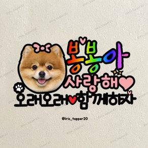 아이리스토퍼 반려동물 생일토퍼 OO아 사랑해 오래오래 함께하자 포토토퍼