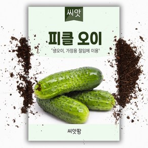 피클 오이 씨앗 50립