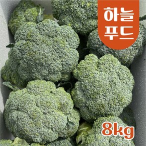 (8kg/Box) 수입 브로콜리 브로컬리 식자재, 8kg/Box, 1개