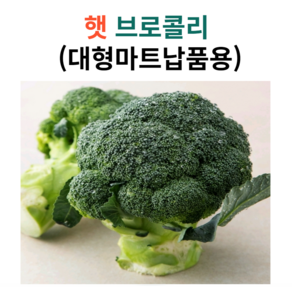 국내산 제주 햇 브로콜리, 1개, 1kg