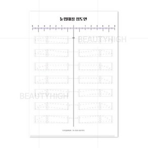 눈썹대칭 (점도안) 100매 반영구 연습재료, 1개