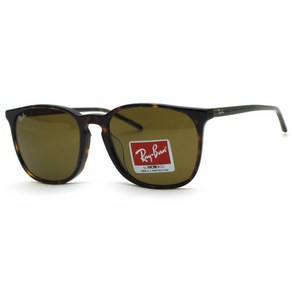 RAY BAN 레이벤 선글라스 RB4387F 902-73