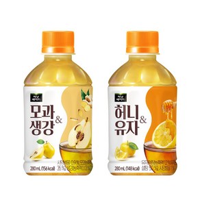 [한번에먹자] 미닛메이드 허니유자 280ml 8개 + 모과생강 280ml 8개 / 총 16개, 미닛메이드 280ml 허니유자 8개