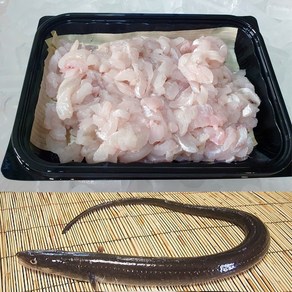 아나고회 자연산 붕장어 세꼬시회 1kg(활어기준)