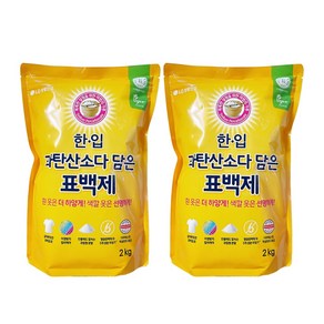 한입 과탄산소다 담은 표백제