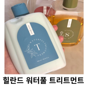 워터풀 트리트먼트 손상모 두피 영양 상쾌한 향좋은 수분 HEALAND TREATMENT, 1개, 300ml