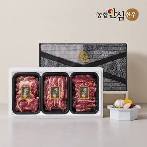 동심 농협안심한우 스페셜 모듬 선물세트 700g(등심+갈비살+부채살), 1세트