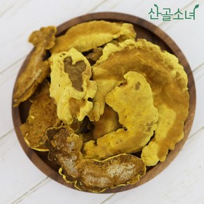 산골소녀 국내산 상황버섯 원물 참나무 상황버섯, 100g, 1개