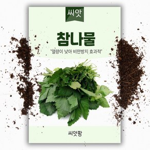 씨앗팜 참나물씨앗 (900립) 종자, 1개