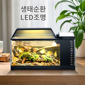 CozyTemp 자동순환 물청소 어항 산소공급 필터링 어항, 1개, 30*13*18.5cm, 블랙