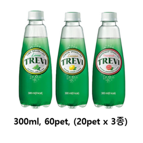 롯데 트레비 탄산수 라임+자몽+레몬 300ml 3종 총60pet