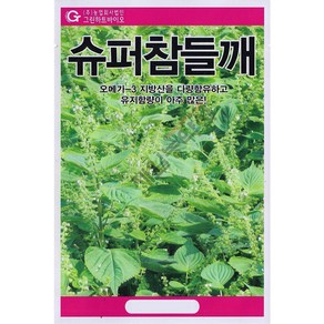 슈퍼참들깨 20g 24년 참깨씨앗 들깨씨앗 잎들깨, 1개