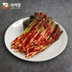 새벽팜 김치 수입 파김치, 수입 파김치 5kg(아이스박스), 5kg, 1개