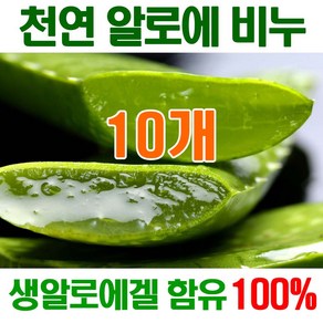 [오후5시 당일발송] 고농축 알로에비누 촉촉촉 보습진정 에너지 생 알로에천연비누 세수비누 비누 알로에 세안비누 천연 얼굴 YB맘