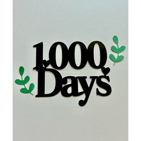 아기 1000일 숫자 토퍼 커플 기념일
