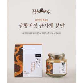 류충현 상황버섯균사체 분말 300g 상황버섯 가루, 1개