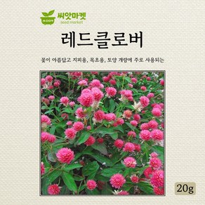 아람종묘 레드클로버 씨앗 20g, 1개