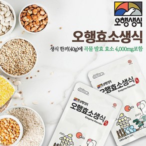 엑스비 오행생식 가족건강 건강선물 식사대용 한끼식사 오행효소생식 단품(15포), 40g, 15개