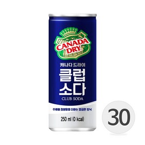 캐나다드라이 클럽소다 250ml x30캔, 30개