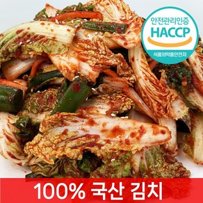 [전라도찐맛] 당일제조 봄동겉절이, 1개, 1kg