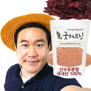 산수유 가루 분말 차 건 말린 국산 300g 굿허브닝, 1개