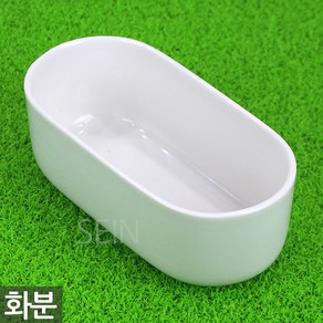 세인화분 다육 다육이 타원 백자 도자기 화분 1P - 선인장 다육화분 다육이화분 분갈이 화분갈이 식물 인테리어 화이트 받침 세트 홈가드닝 예쁜 원형