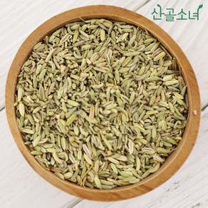 산골소녀 인도산 산미나리씨 회향, 100g, 1개