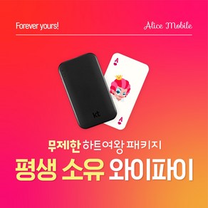 [연장전용] KT 포켓 와이파이 반납없이 LTE 완전무제한 데이터 휴대용와이파이, 기존 기기 연장, 3개월, 1개