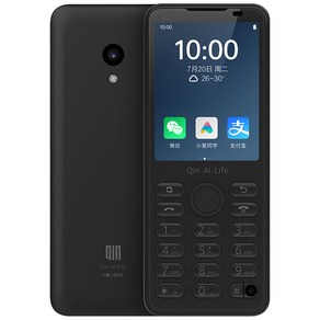 QIN F21po피처폰 스마트 구글 스토어 안드로이드 버튼 소형 터치 스크린 4G, black, 32GB