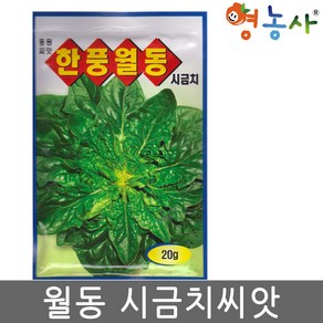 한풍월동 시금치씨앗 20g